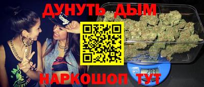 гашик Новозыбков