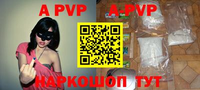 гашик Новозыбков