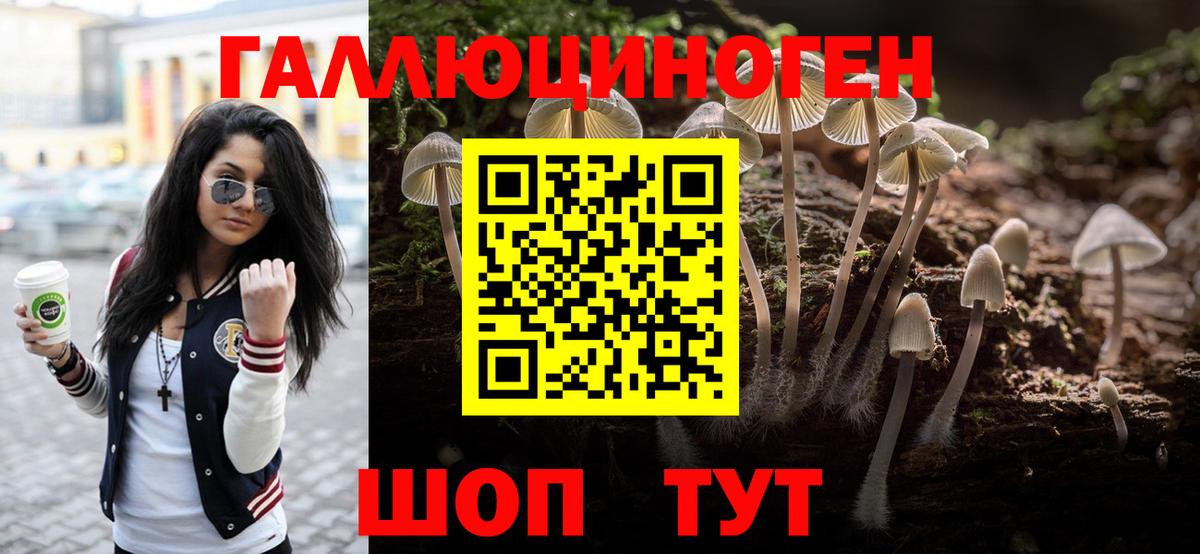 Псилоцибиновые грибы мицелий Сердобск