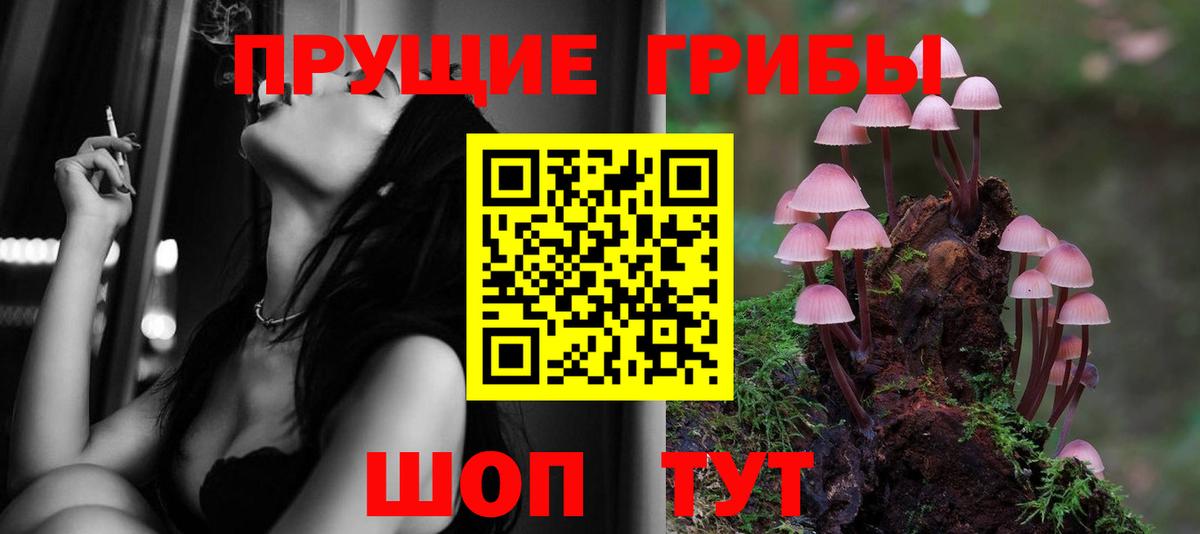 Галлюциногенные грибы прущие грибы  Галлюциногенные грибы GOLDEN TEACHER  Сердобск  Вход с VPN 